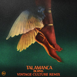 Burns – Talamanca (Vintage Culture Remix) [190296405655]
